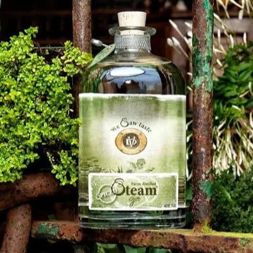 Steam Gin Spiced - 50cl