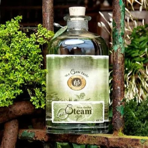 Steam Gin Spiced 50cl