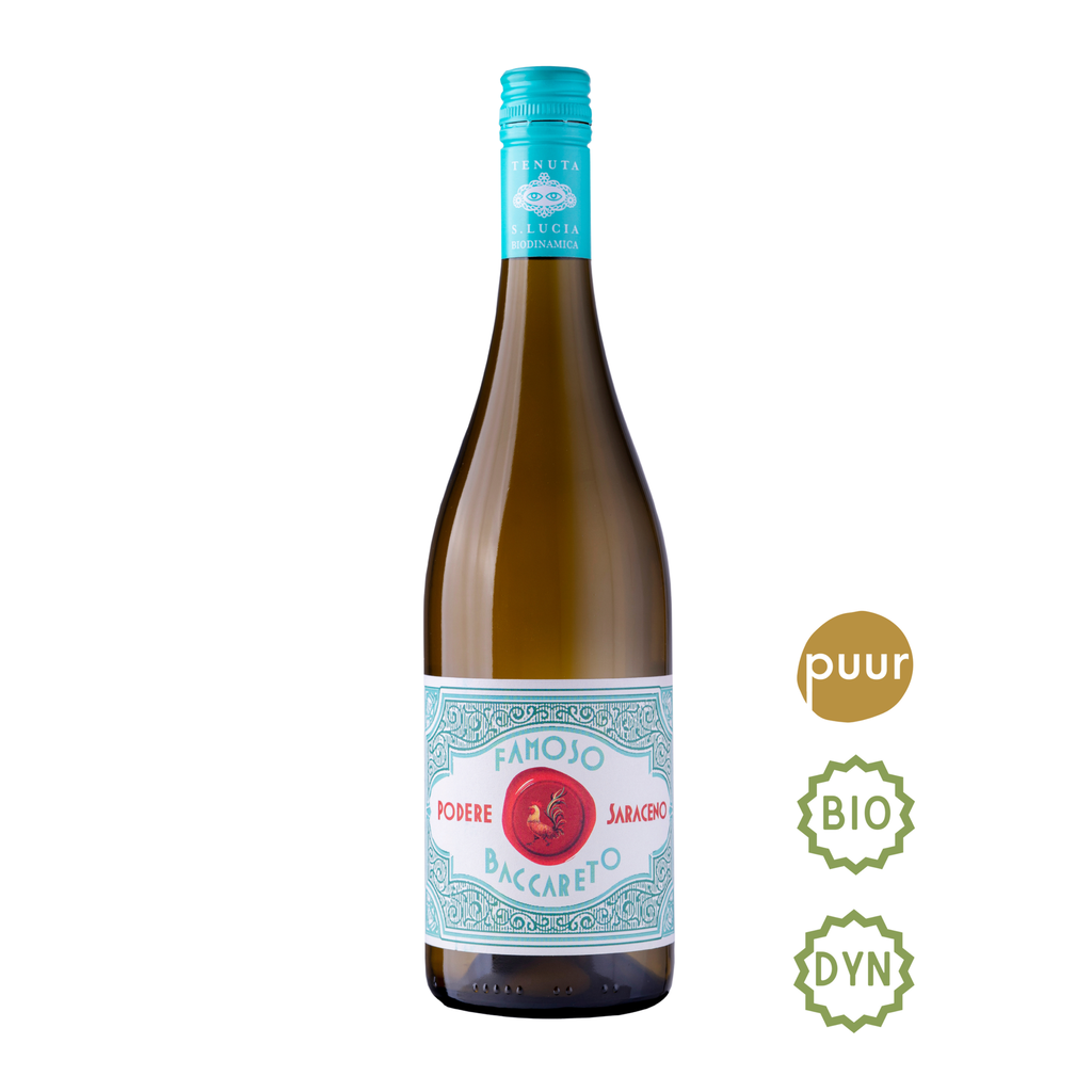 Baccareto Famoso - di Santa Lucia - 2024