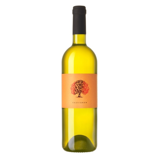 [Til501] Tilia Estate - Sauvignon blanc - 2024