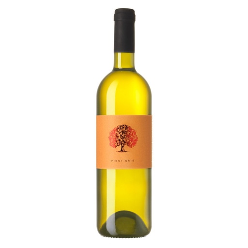 [Til502] Tilia Estate - Pinot gris - 2025